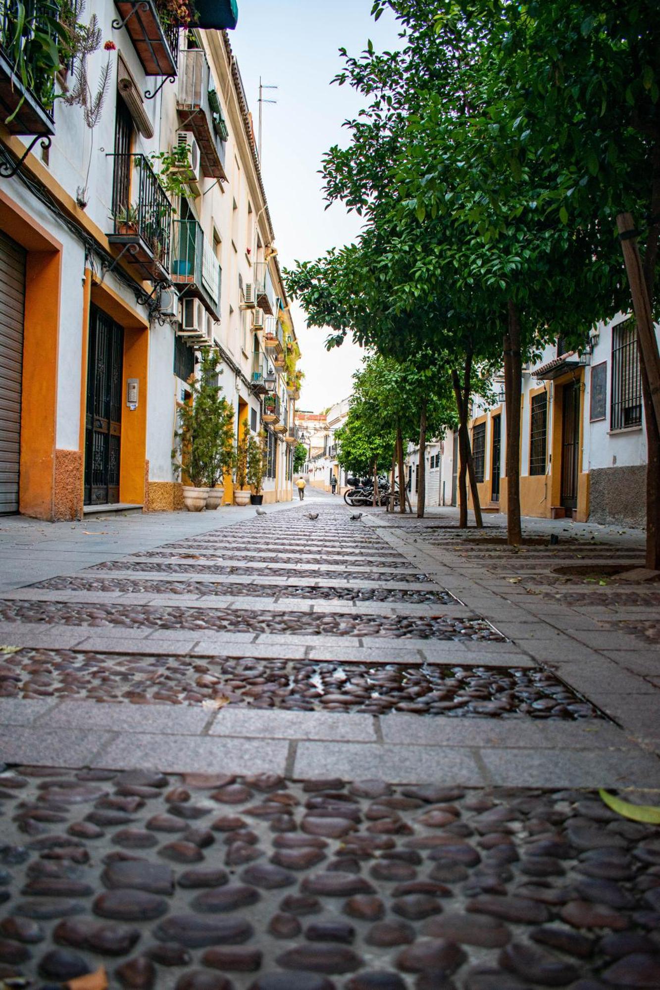 Alojamiento Entero, Centro De Cordoba Con Cochera 外观 照片